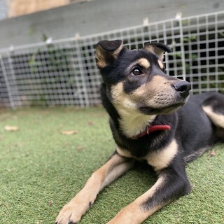 生後５ヶ月フレンドリーな男の子