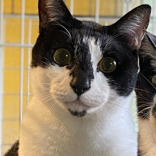 好奇心旺盛な男の子　アルル