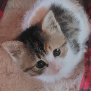 すくすく育ってます♪