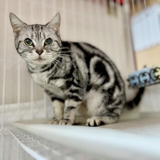 推定2021年生まれ♀ ポンプ車ちゃん♡