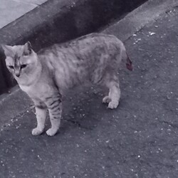 「やっと捕獲できた」サムネイル2