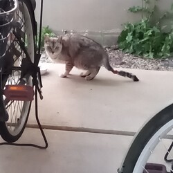 「やっと捕獲できた」サムネイル3