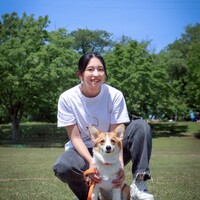 蓮