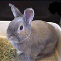 【ひかるん君】おっとりマイペースな師走っこ♪