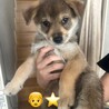将来が楽しみな男の子 サムネイル2