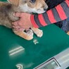 将来が楽しみな男の子 サムネイル3