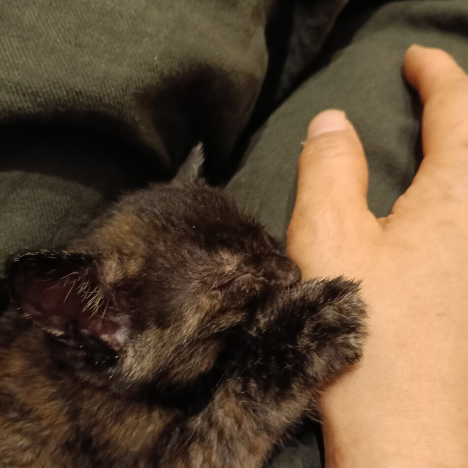 蕎麦のカバー写真