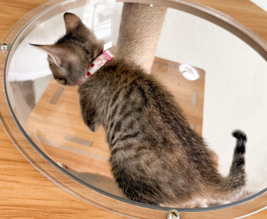 元気いっぱい小柄で可愛い❤️あやめ サムネイル2