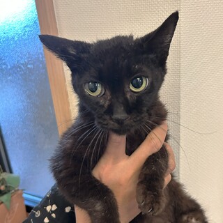 甘えん坊の『五月』ちゃん