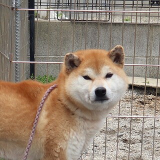 フレンドリーな女の子です