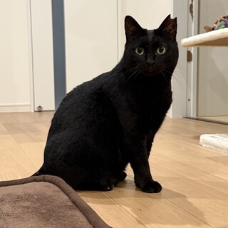 〝クロミちゃん〟です♪