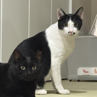 〝あんず君〟です♪