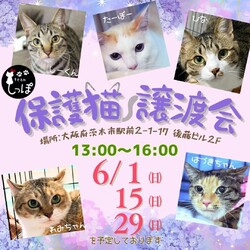 teamしっぽ譲渡会☆大阪府茨木市