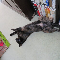 「9年目」サムネイル2