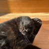 あさごはんたべる