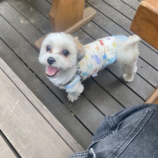 ありがとうございました。