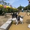 こんなお顔もできるようになったよ