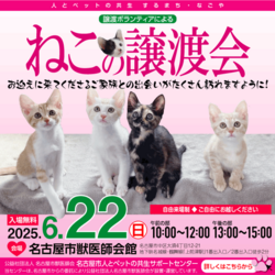 猫の譲渡会☆大須商店街近く