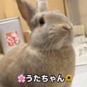 師走っこ【うたちゃん】ふわふわもっちもちな童顔♪