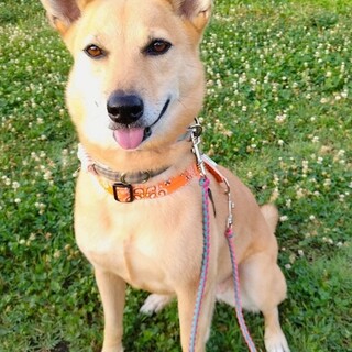 怖がりだけど日々進歩中可愛い女子ゆいろ