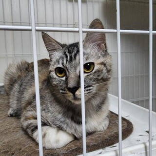 奇跡の回復★すずちゃん