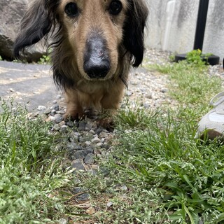 穏やかで優しいけんちゃん