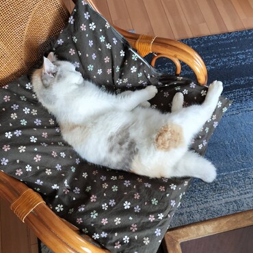 の写真