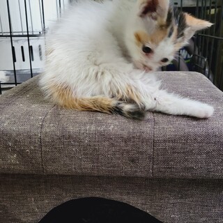 末永く幸せでありますように