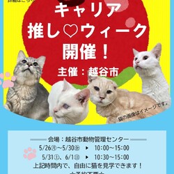 キャリア推し☆ウィーク開催　