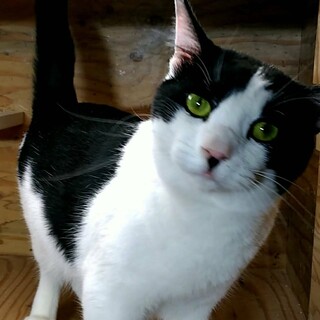 人懐っこいピアノくん♪