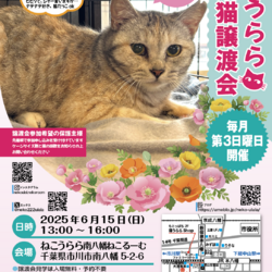 ねこうらら 保護猫譲渡会