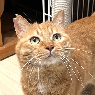 【6/22品川】呼ぶと元気にお返事！プリチー女子