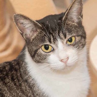 少し小柄なレディです。