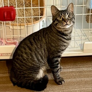 【6/1麻布十番】初心者◎すりりんと甘える可愛い子