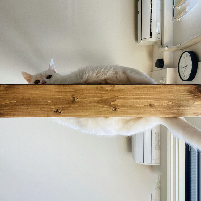 おちこ392のカバー写真