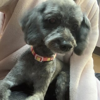 人懐っこい女の子です！