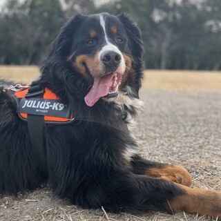 どうか、よろしくお願いいたします。