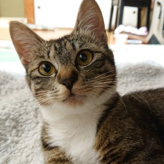 素直なナオちゃん