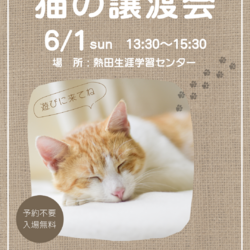 名古屋 保護猫譲渡会