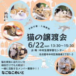 名古屋 保護猫譲渡会