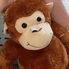 Pulちゃん