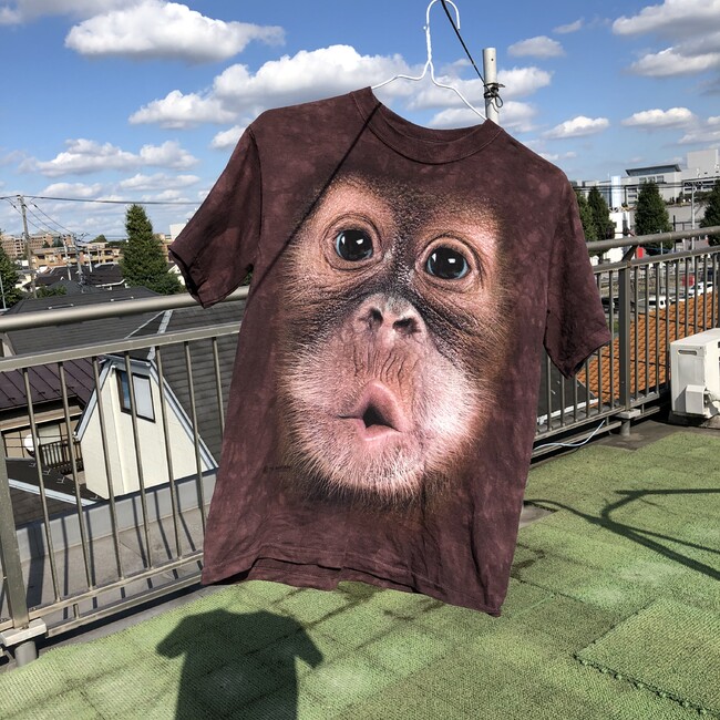 ra2cchoのカバー写真