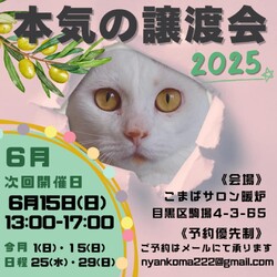 本気の譲渡会