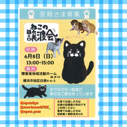 保護ねこ譲渡会in横浜市旭区 サムネイル1