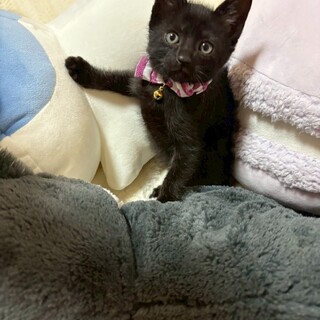 5匹兄妹❤︎面倒見が良い頼れる♡うー君