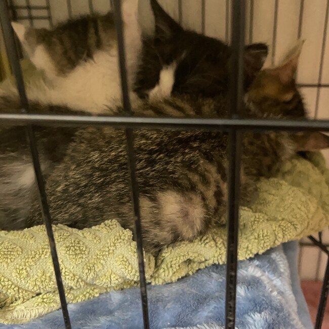 じる0404のカバー写真