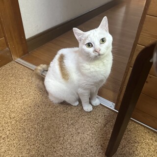 のんびり大好き気まぐれ♡きいちゃん