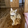 の写真