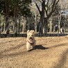 ゆみ　
