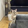 の写真